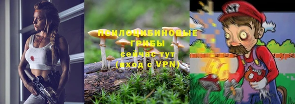 прущая мука Алзамай