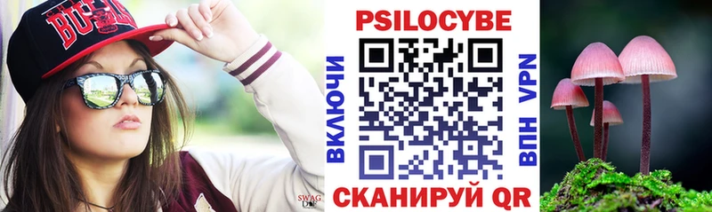 Галлюциногенные грибы Psilocybine cubensis  Алзамай 